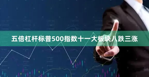 五倍杠杆标普500指数十一大板块八跌三涨