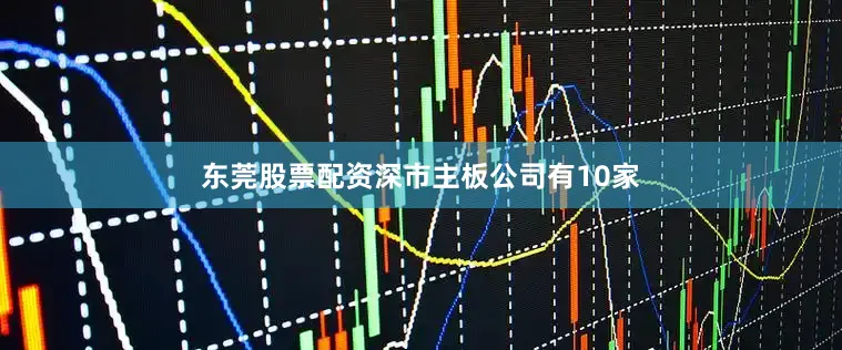 东莞股票配资深市主板公司有10家