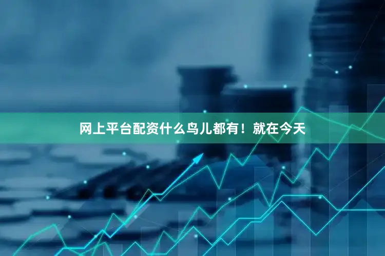 网上平台配资什么鸟儿都有！就在今天