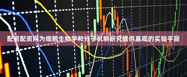 配资配资网为细胞生物学和分子机制研究提供直观的实验手段